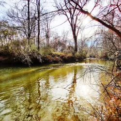 Suwanee Creek Park - Suwanee