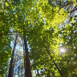Suwanee Gateway Park - Suwanee