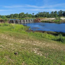 Azalea City Golf Course - Valdosta