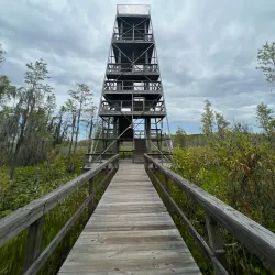 Grand Bay Wildlife Management Area - Valdosta