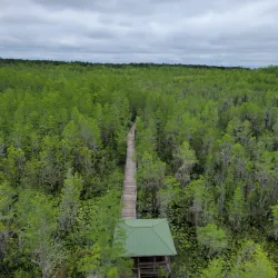 Grand Bay Wildlife Management Area - Valdosta