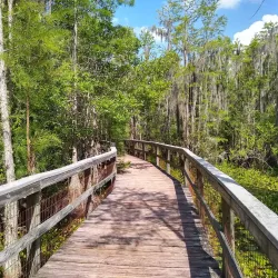 Grand Bay Wildlife Management Area - Valdosta