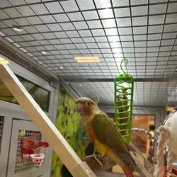 Valdosta Mall - Valdosta