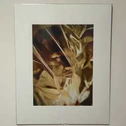 Valdosta State University Museum of Art - Valdosta