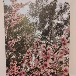 Valdosta State University Museum of Art - Valdosta