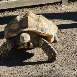 Wild Adventures Theme Park - Valdosta