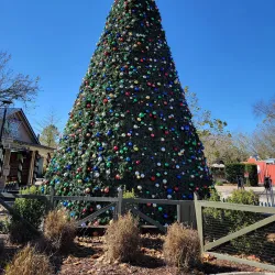 Wild Adventures Theme Park - Valdosta