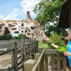 Wild Adventures Theme Park - Valdosta