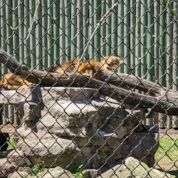 Wild Adventures Theme Park - Valdosta