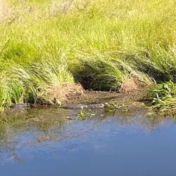 Cooter Pond Park - Warner Robins