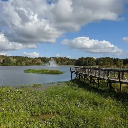 Cooter Pond Park - Warner Robins