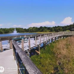 Cooter Pond Park - Warner Robins