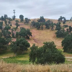 Eagle Springs Golf Course - Warner Robins