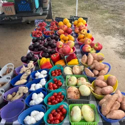 Warner Robins Farmers Market - Warner Robins