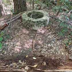 Wellston Trail - Warner Robins