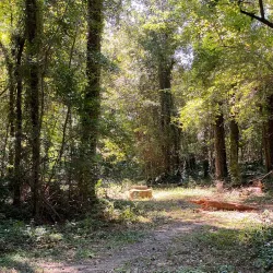 Wellston Trail - Warner Robins