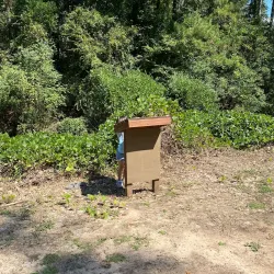 Wellston Trail - Warner Robins