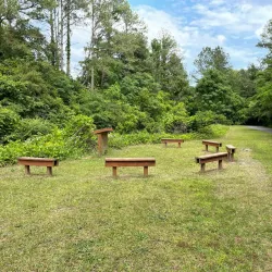 Wellston Trail - Warner Robins