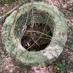 Wellston Trail - Warner Robins