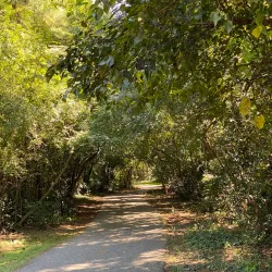 Wellston Trail - Warner Robins