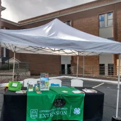 Winder Farmers Market - Winder