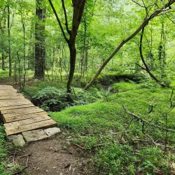 Blankets Creek Trail System - Woodstock