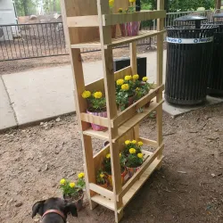 Downtown Woodstock Historic District - Woodstock