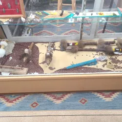 Downtown Woodstock Historic District - Woodstock