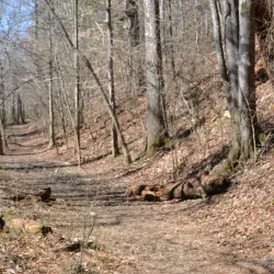 Olde Rope Mill Park - Woodstock