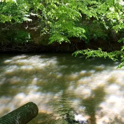 Vickery Creek Trail - Woodstock