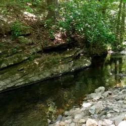 Vickery Creek Trail - Woodstock