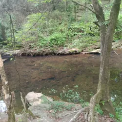 Vickery Creek Trail - Woodstock