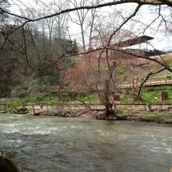 Vickery Creek Trail - Woodstock