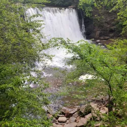 Vickery Creek Trail - Woodstock
