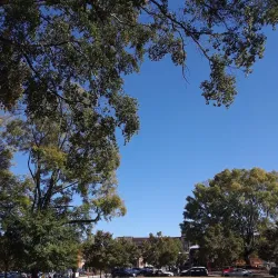 Woodstock Arts and Wine Festival - Woodstock