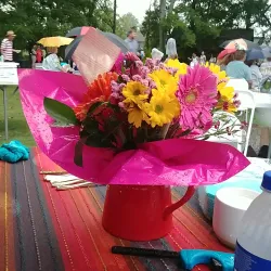 Woodstock Arts and Wine Festival - Woodstock