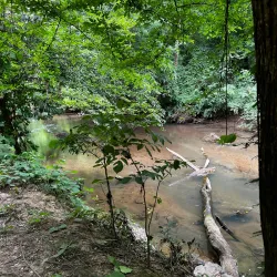 Woodstock Greenway Trail - Woodstock