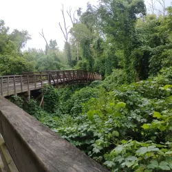 Woodstock Greenway Trail - Woodstock