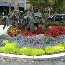 Woodstock Visitors Center and Museum - Woodstock