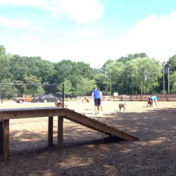 Woofstock Dog Park - Woodstock