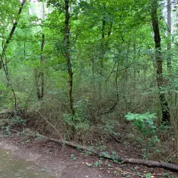 Woofstock Dog Park - Woodstock