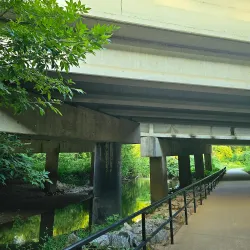 Woofstock Dog Park - Woodstock