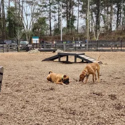 Woofstock Dog Park - Woodstock