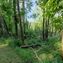 Woofstock Dog Park - Woodstock