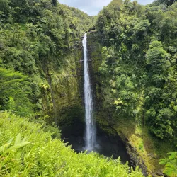 Akaka Falls State Park - Hilo