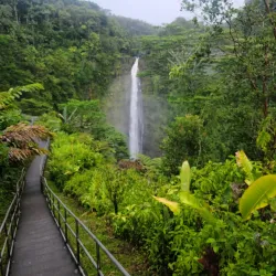 Akaka Falls State Park - Hilo