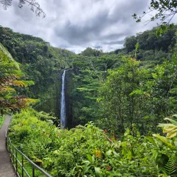 Akaka Falls State Park - Hilo