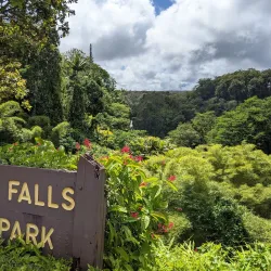 Akaka Falls State Park - Hilo