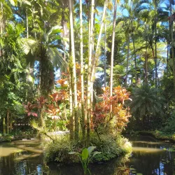 Hawaii Tropical Botanical Garden - Hilo