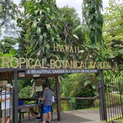 Hawaii Tropical Botanical Garden - Hilo